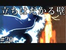 「戦地へ」【ナルティメットストーム3 実況】part20