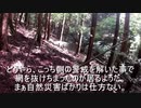 (普通に山歩き回)変態忍者の、有害鳥獣駆除従事活動記・その１１８