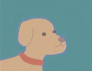 dog run