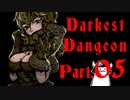 【ごゆっくり実況】ダーケストダンジョン。part05