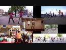 【アニー】ルカルカ★ナイトフィーバー【#ネット超会議2020夏 #超踊ってみたオフ】