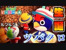 最強の推しキャラ!! ツバクロの生誕祭を盛大に祝うぞォ!! 【あつまれどうぶつの森】　２５