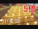 【ゆっくり実況】水流回収小麦畑の拡張【マイクラ】