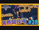 【KH2FM】#28 闘技大会「ペイン＆パニックカップ」に行ってみた！【無知過ぎるキングダムハーツ2実況】