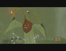 【実況プレイ】いまさらゼルダの伝説 Breath of the Wild: 23