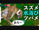 0802【スズメとツバメの水浴び】カルガモ親子。コサギ捕食とカワセミどアップ。ハト交尾未遂など【今日撮り野鳥動画まとめ】身近な生き物語