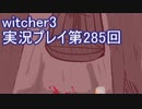 探し人を求めてwitcher3実況プレイ第285回