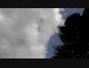 蝉の鳴き声20200731