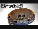 衝撃の結末・・珍しすぎるこのカニを食べたら・・