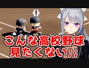 地方球場の魔物 現る。
