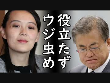 韓国政府が受領先を隠蔽した物資を北朝鮮に流していたと暴露されて日本側から批判殺到⇒梶山経産相「韓国との対話、終了！」韓国人大発狂ｗ2020/08/03-2