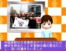 サヨク様、夢見がちなネトウヨ様に捧げる「日朝戦争シミュレーション」