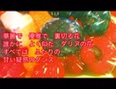 偽りのシンパシー　cover by 桃乃瀬きのこ□（kinokomuzic ）