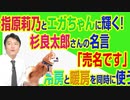 みやチャンR730-杉良太郎