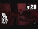 サバイバル！えりーたんと逝く復讐の旅 #20