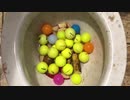 ボールと林檎とバナナをトイレに流してみた