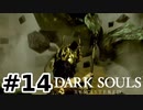 【初見実況】ゲーム下手がダークソウルをクリアするまで　リマスター版 その１４【DARK SOULS REMASTERED】