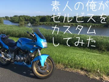 素人の俺がゼルビスをカスタムしてみた その2