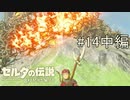 【ゼルダの伝説ブレスオブザワイルド＃14】探し物は何ですか？見つけられないものですよ中編【はるの積みゲー崩し】