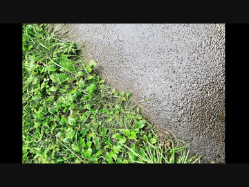 トライアングル/初音ミク