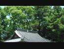 朗読　夾竹桃の咲く丘（イメージ映像と効果音付き）　第二稿