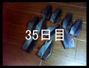 黒折り紙で千羽鶴を作っていく　35日目