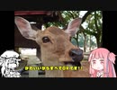 【Relive】ツーリング日記