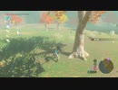 ゼルダBotw まったりプレイ　振り返り　三十七回目