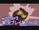 探し人を求めてwitcher3実況プレイ第286回