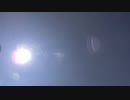 蝉の鳴き声20200801