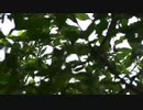 今村格