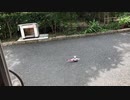 ユーロコプターAS350エキュレイユ