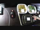 あの枠【2020/07/29】