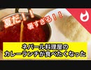 もなみに憧れる女は、インドカレー食べたくなった【夏だなも。】