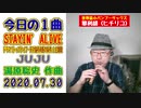 JUJUの「STAYIN' ALIVE」をヒチリコで吹いてみた！