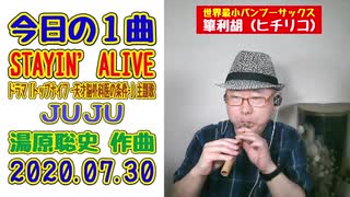 JUJUの「STAYIN' ALIVE」をヒチリコで吹いてみた！