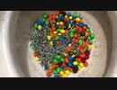 M&M'sと釘をトイレに流してみた