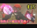 【ポケットモンスターシールド】　仲間と一緒に大冒険！ part25