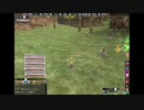 20200725_D鯖WarAge_N視点　前編