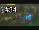 世界を冒険するべく「ゼルダの伝説 ブレスオブザワイルド」実況　part34