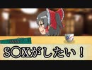 S〇XがしたいSNSN