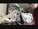TOPGUN ANTHEM PIANO Steve Stevens