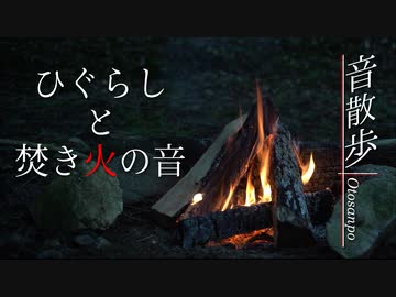 【音散歩】ひぐらしと焚き火の音