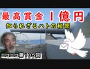 「購入に一億円！？」軍鳩・伝書鳩の秘密に迫ってみた！