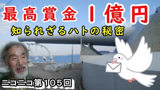 「購入に一億円！？」軍鳩・伝書鳩の秘密に迫ってみた！