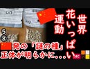 Ｋには来てないみたい...　【江戸川 media lab R】お笑い･面白い･楽しい･真面目な海外時事知的エンタメ