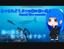 どうぶつの森の思い出？[ Beyond Blue memories ]