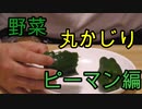 【野菜丸かじり】ピーマン食べてみた！【いまさらトライチャンネル】#79