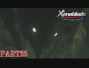 【ゼノブレイド】完全初見だけどゼノブレイっていく実況プレイ PART35【Xenoblade Definitive Edition】