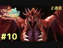 【メルル２週目】最強の姫君は世界の深淵を目指して【実況】Part10  マキナ領域　VSヘブンズドラゴン